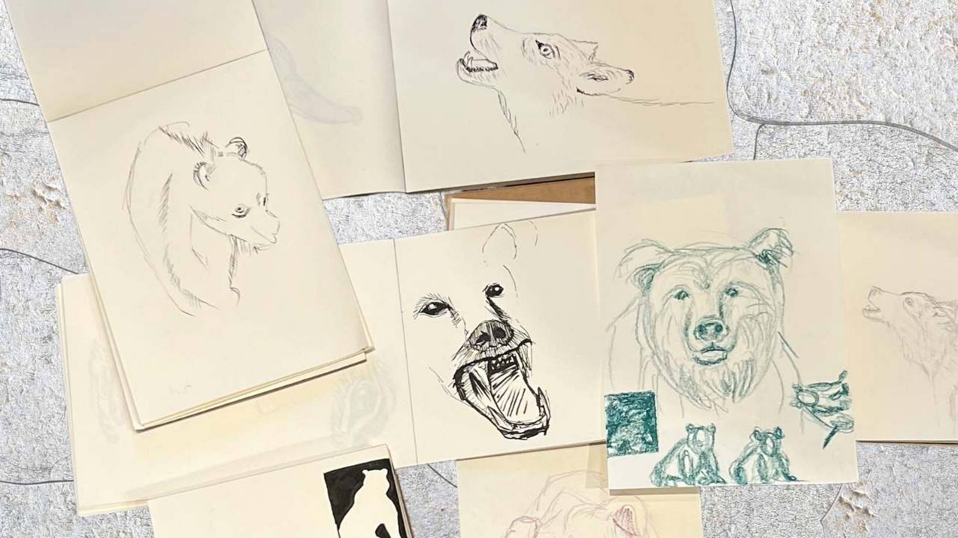 Sammlung von Skizzen mit Hirsch, Steinbock, Eule und weiteren Wildtieren.