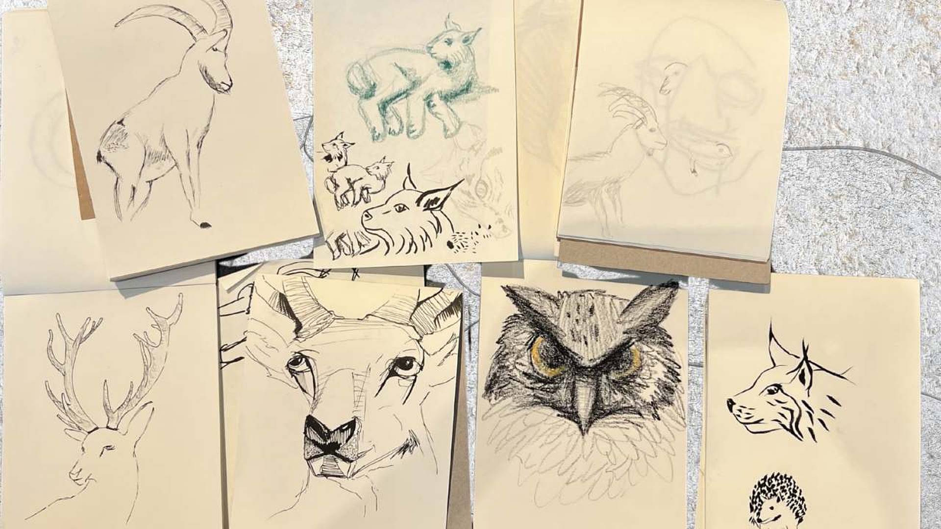 Verschiedene Tierstudien auf einzelnen Papierblättern, flach ausgelegt.