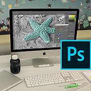 Bildschirm mit Adobe Programm