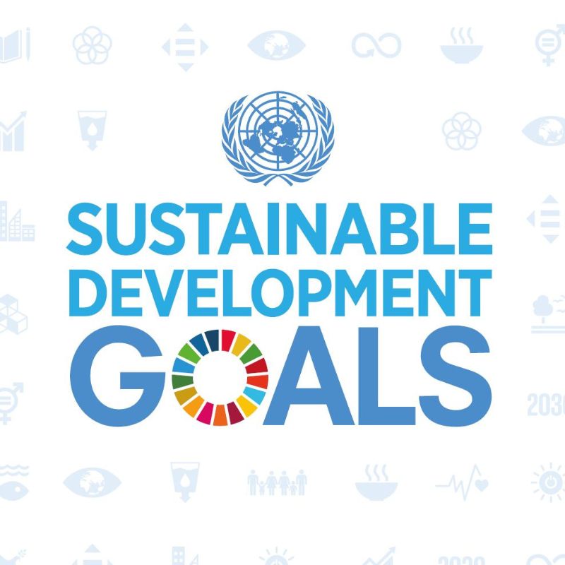 Schriftzug in türkis "Sustainable Development Goals"