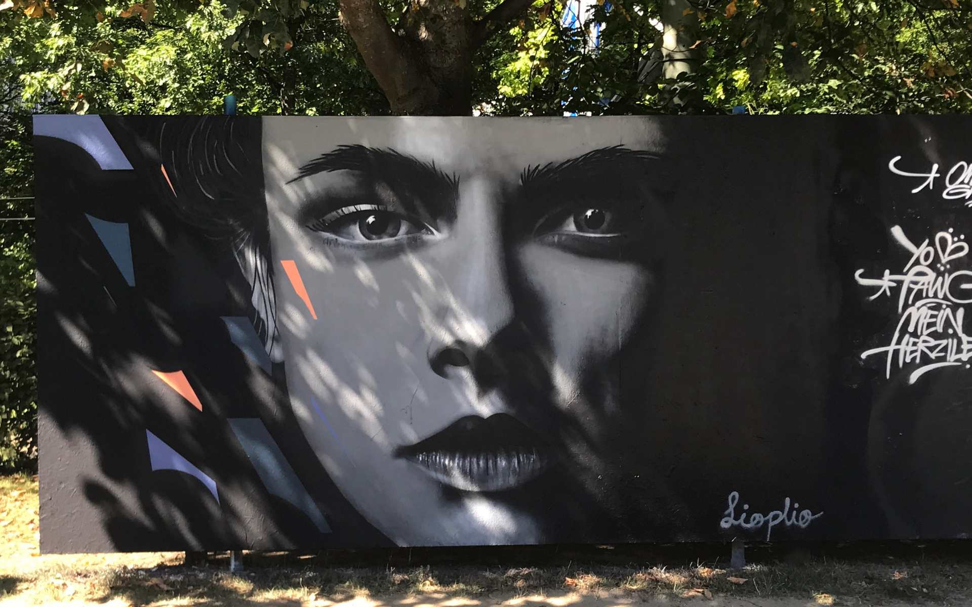 Graffiti Portrait Frau