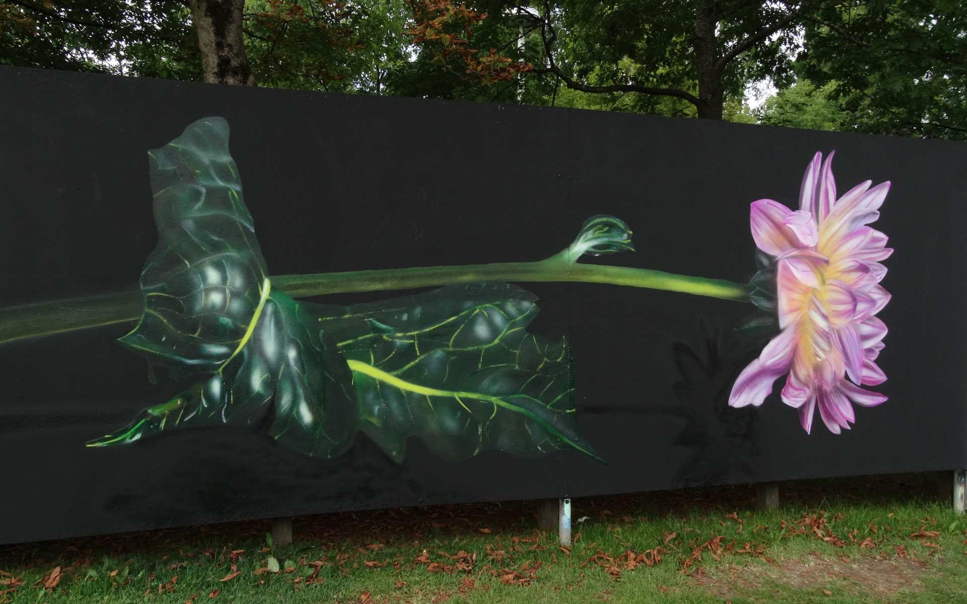 Graffiti - Blume