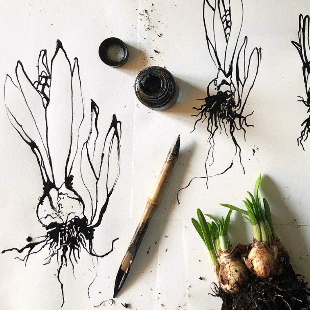 Skizze in schwarz-weiss von Pflanzen