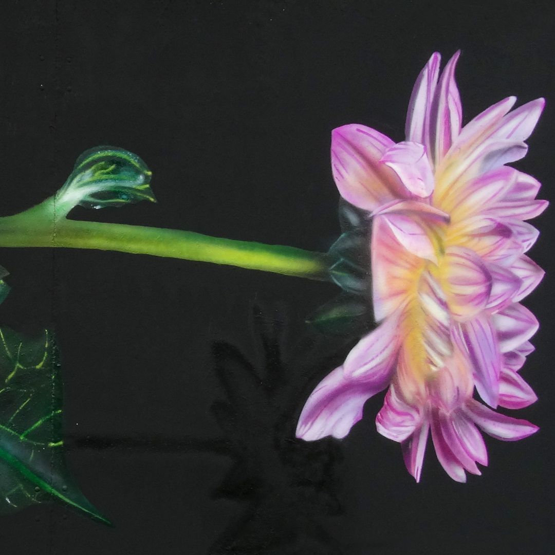 Blumen-Graffiti auf schwarzer Wand